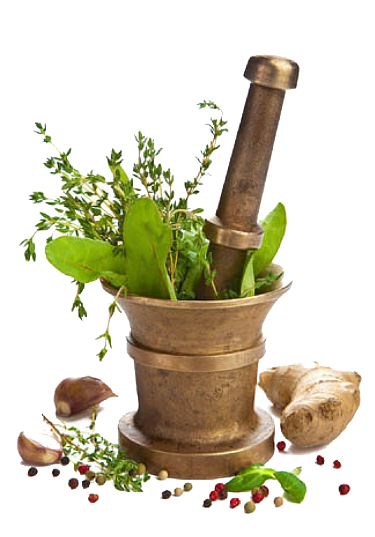 Ayurveda — ancient healing wisdom